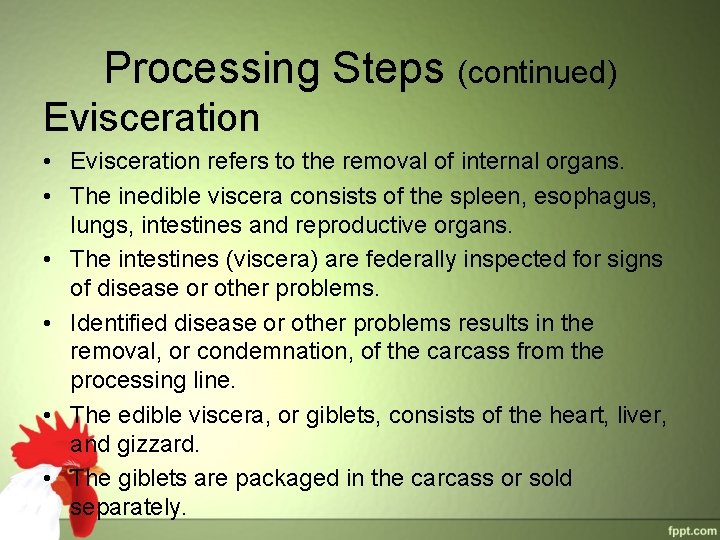 Processing Steps (continued) Evisceration • Evisceration refers to the removal of internal organs. • Processing Steps (continued) Evisceration • Evisceration refers to the removal of internal organs. •