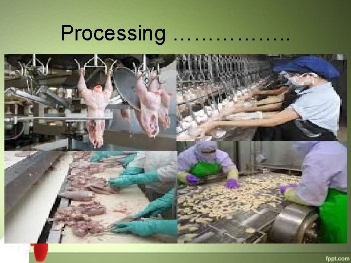 Processing ……………. . Processing ……………. .