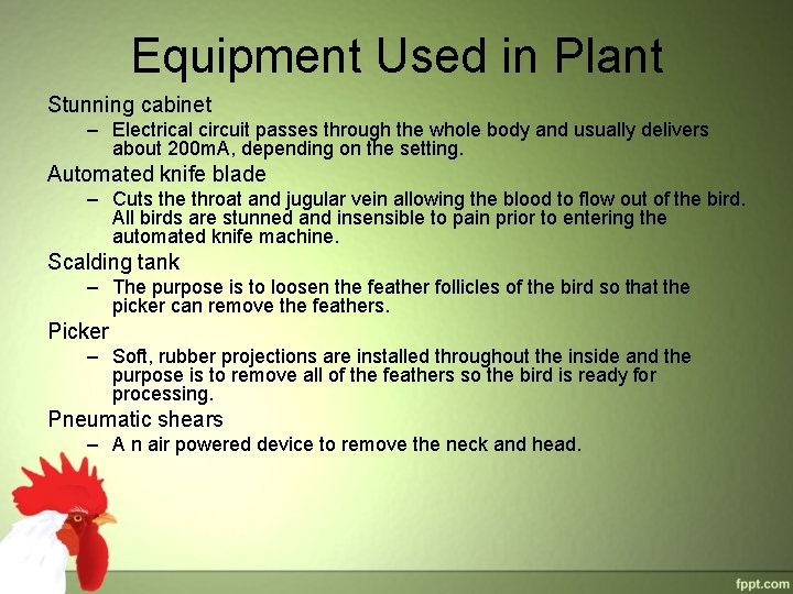 Equipment Used in Plant Stunning cabinet – Electrical circuit passes through the whole body Equipment Used in Plant Stunning cabinet – Electrical circuit passes through the whole body