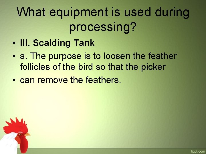 What equipment is used during processing? • III. Scalding Tank • a. The purpose What equipment is used during processing? • III. Scalding Tank • a. The purpose