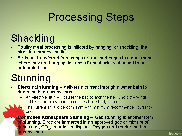 Processing Steps Shackling • • Poultry meat processing is initiated by hanging, or shackling, Processing Steps Shackling • • Poultry meat processing is initiated by hanging, or shackling,