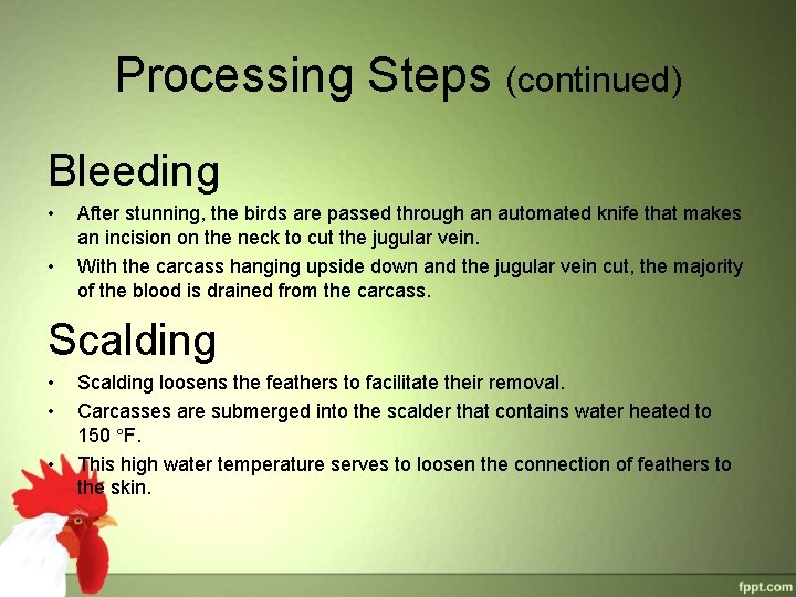 Processing Steps (continued) Bleeding • • After stunning, the birds are passed through an Processing Steps (continued) Bleeding • • After stunning, the birds are passed through an