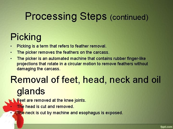 Processing Steps (continued) Picking • • • Picking is a term that refers to Processing Steps (continued) Picking • • • Picking is a term that refers to