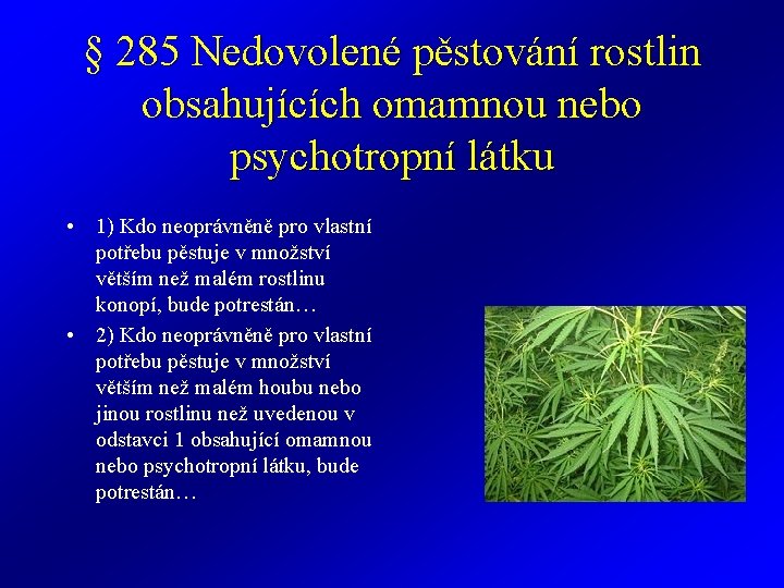 § 285 Nedovolené pěstování rostlin obsahujících omamnou nebo psychotropní látku • 1) Kdo neoprávněně