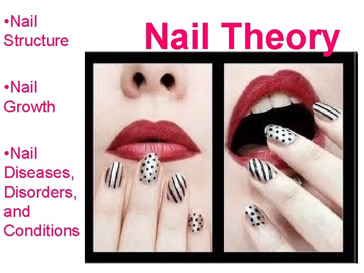  • Nail Structure • Nail Growth • Nail Diseases, Disorders, and Conditions Nail