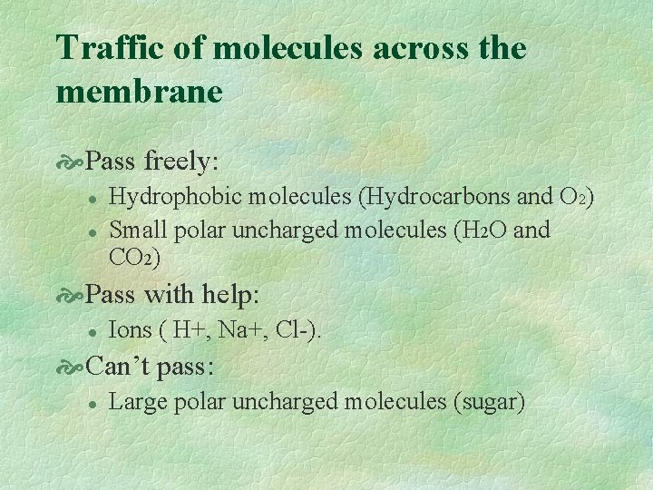 Traffic of molecules across the membrane Pass freely: l l Hydrophobic molecules (Hydrocarbons and