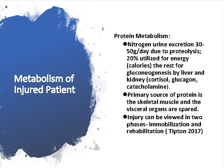 Metabolism of Injured Patient Protein Metabolism: l. Nitrogen urine excretion 3050 g/day due to