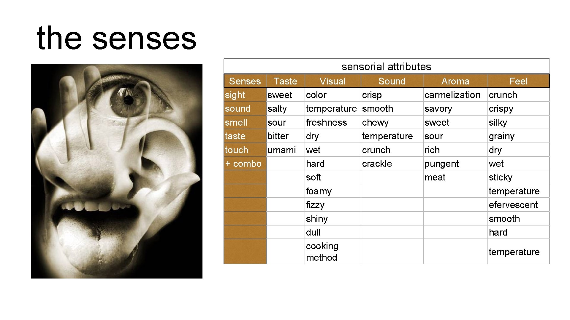 the senses sensorial attributes Senses sight sound smell taste touch + combo Taste sweet