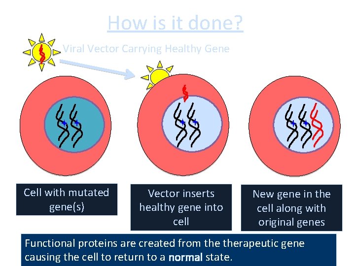 How is it done? Viral Vector Carrying Healthy Gene Cell with mutated gene(s) Vector