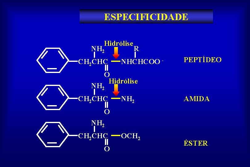 ESPECIFICIDADE Hidrólise NH 2 CH 2 CHC R NHCHCOO - PEPTÍDEO O Hidrólise NH