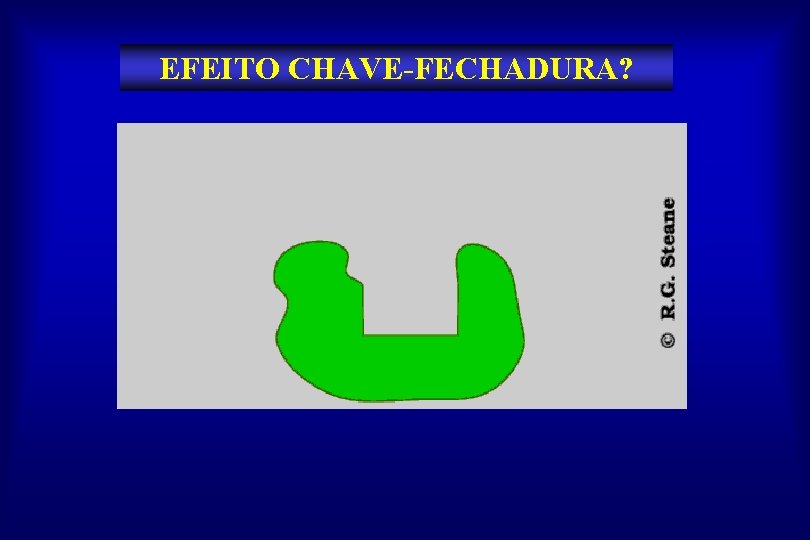 EFEITO CHAVE-FECHADURA? 