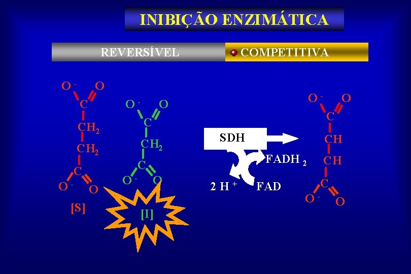 INIBIÇÃO ENZIMÁTICA REVERSÍVEL O- O COMPETITIVA O CH 2 C C - [S] O