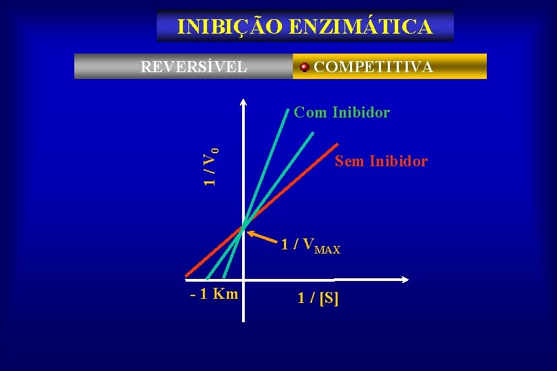 INIBIÇÃO ENZIMÁTICA REVERSÍVEL COMPETITIVA 1 / V 0 Com Inibidor Sem Inibidor 1 /