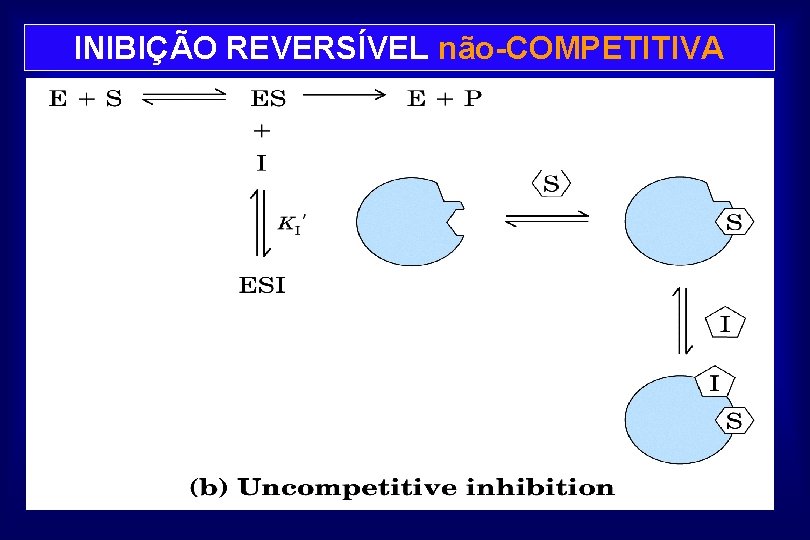 INIBIÇÃO REVERSÍVEL não-COMPETITIVA 