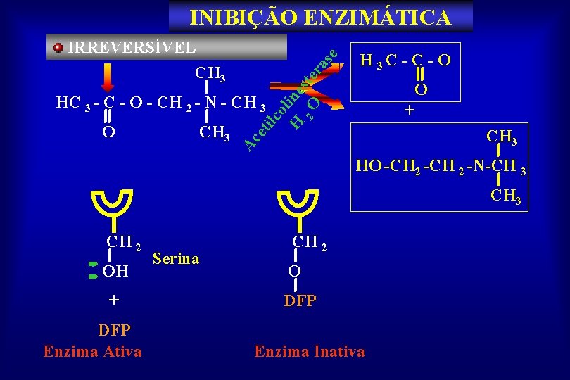 ilc ol H ine 2 O ste ra s IRREVERSÍVEL CH 3 e INIBIÇÃO