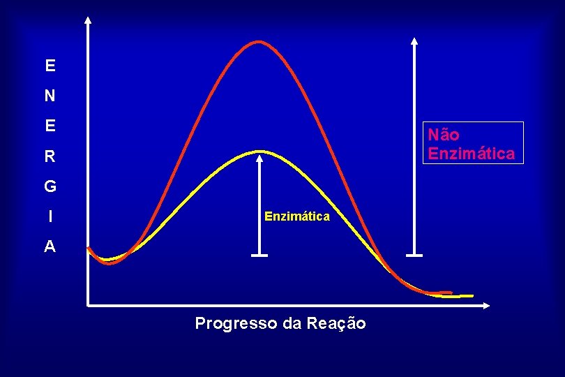 E N E Não Enzimática R G I Enzimática A Progresso da Reação 