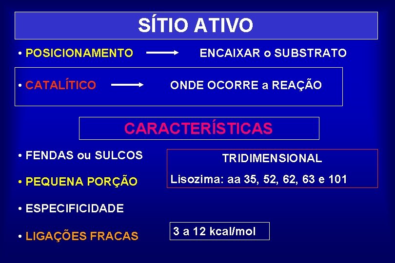 SÍTIO ATIVO • POSICIONAMENTO • CATALÍTICO ENCAIXAR o SUBSTRATO ONDE OCORRE a REAÇÃO CARACTERÍSTICAS