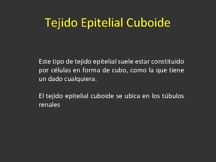 Tejido Epitelial Cuboide Este tipo de tejido epitelial suele estar constituido por células en