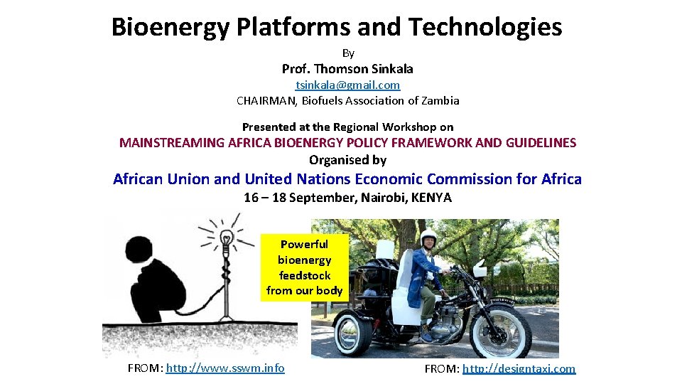 Bioenergy Platforms and Technologies By Prof. Thomson Sinkala tsinkala@gmail. com CHAIRMAN, Biofuels Association of