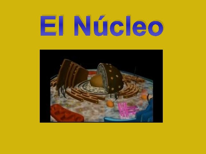 El Núcleo 