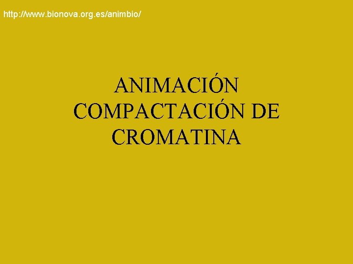 http: //www. bionova. org. es/animbio/ ANIMACIÓN COMPACTACIÓN DE CROMATINA 
