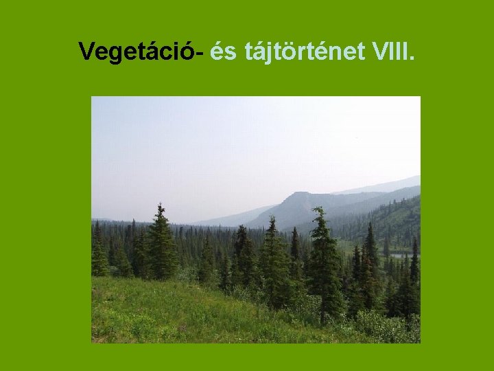 Vegetáció- és tájtörténet VIII. 