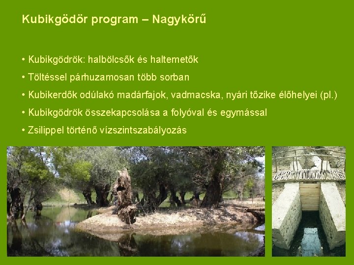 Kubikgödör program – Nagykörű • Kubikgödrök: halbölcsők és haltemetők • Töltéssel párhuzamosan több sorban