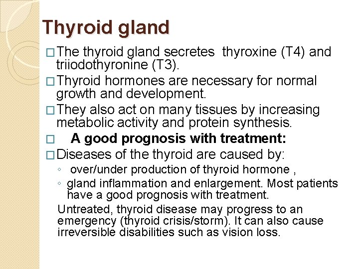 Thyroid gland �The thyroid gland secretes thyroxine (T 4) and triiodothyronine (T 3). �Thyroid