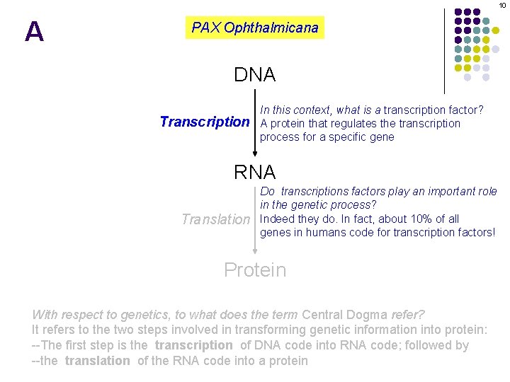 10 A PAX Ophthalmicana DNA Transcription In this context, what is a transcription factor?