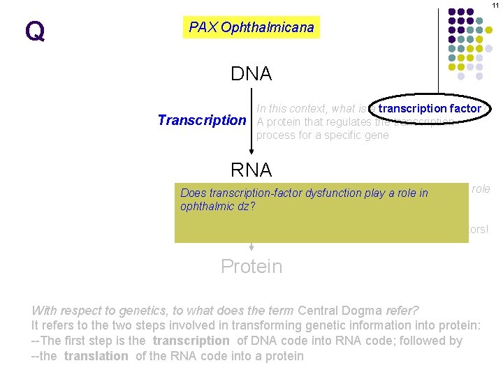 11 Q PAX Ophthalmicana DNA Transcription In this context, what is a transcription factor?