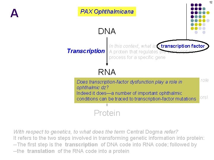 12 A PAX Ophthalmicana DNA Transcription In this context, what is a transcription factor?