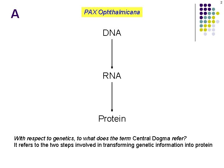 2 A PAX Ophthalmicana DNA RNA Protein With respect to genetics, to what does