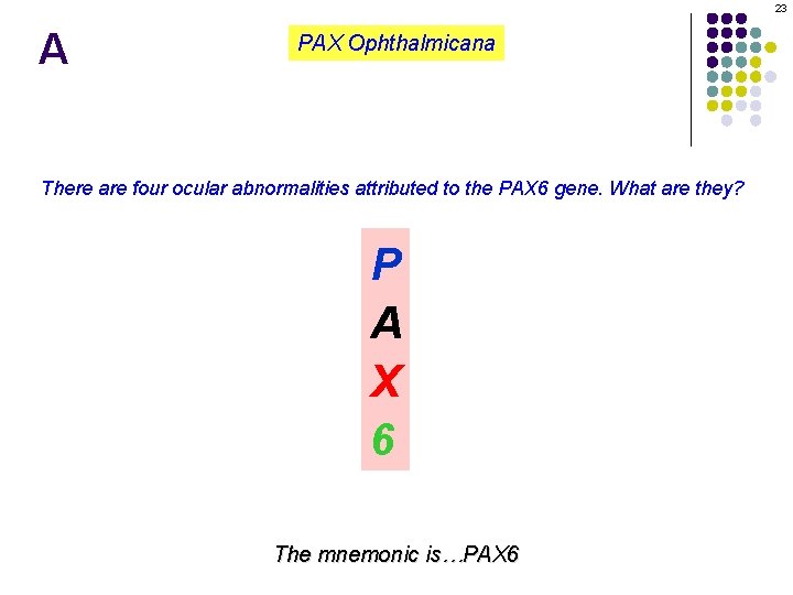 23 A PAX Ophthalmicana There are four ocular abnormalities attributed to the PAX 6