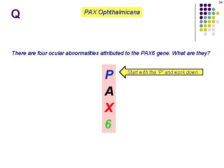 24 Q PAX Ophthalmicana There are four ocular abnormalities attributed to the PAX 6