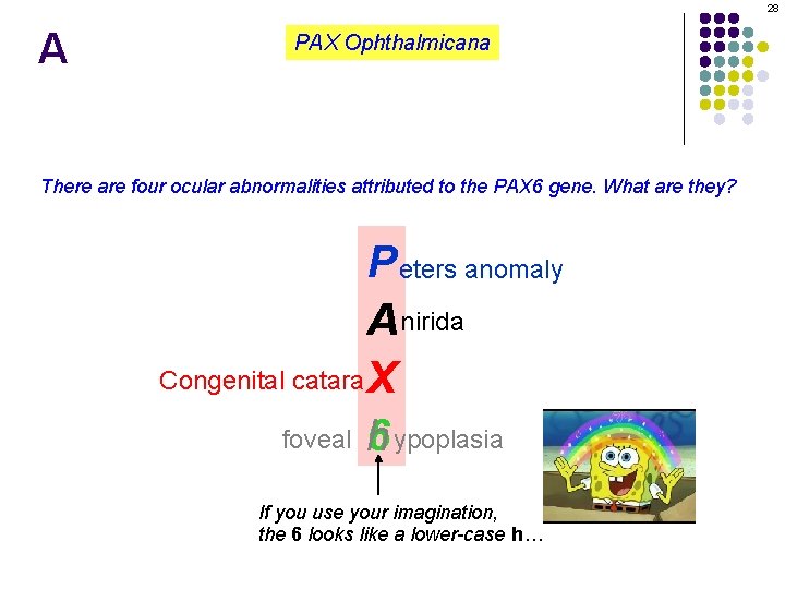 28 A PAX Ophthalmicana There are four ocular abnormalities attributed to the PAX 6