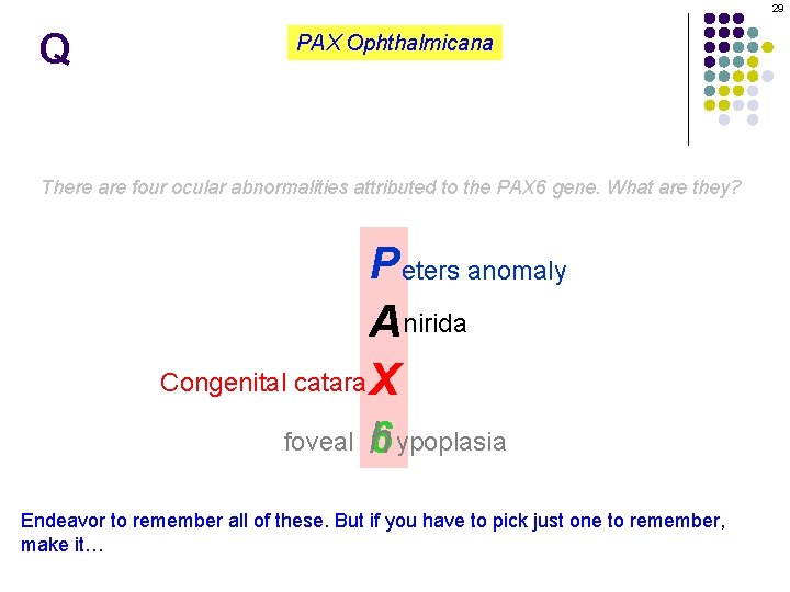 29 Q PAX Ophthalmicana There are four ocular abnormalities attributed to the PAX 6