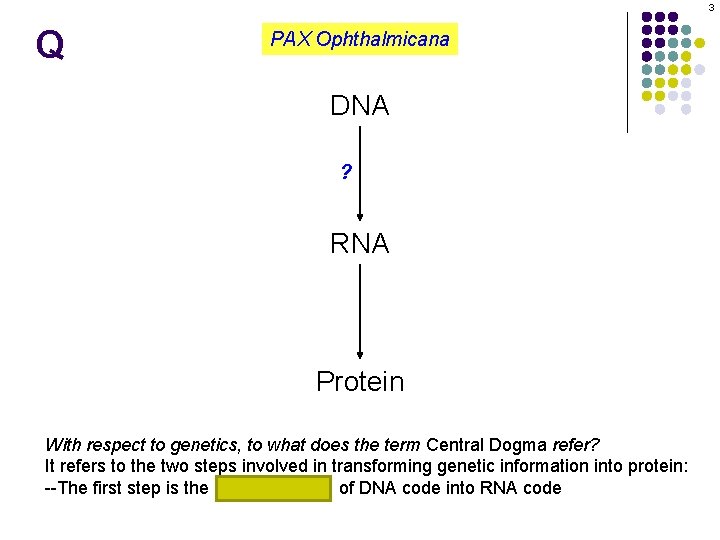 3 Q PAX Ophthalmicana DNA ? RNA Protein With respect to genetics, to what