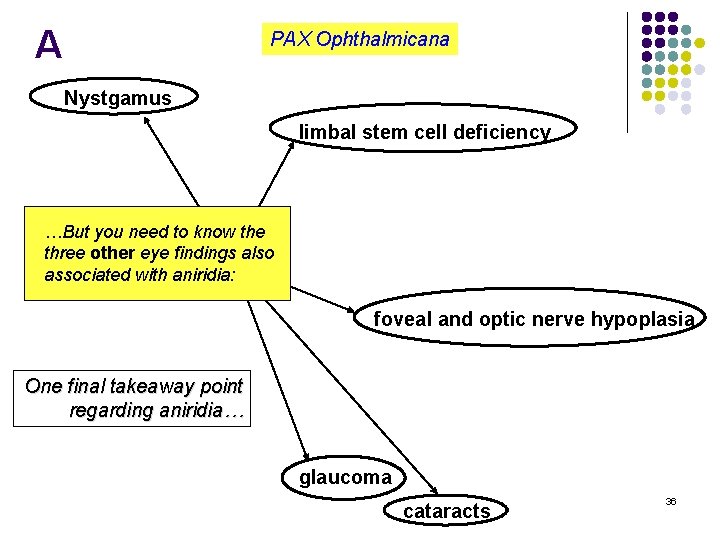 A PAX Ophthalmicana l Nystgamus is commonly associated True l Aniridia is associated with