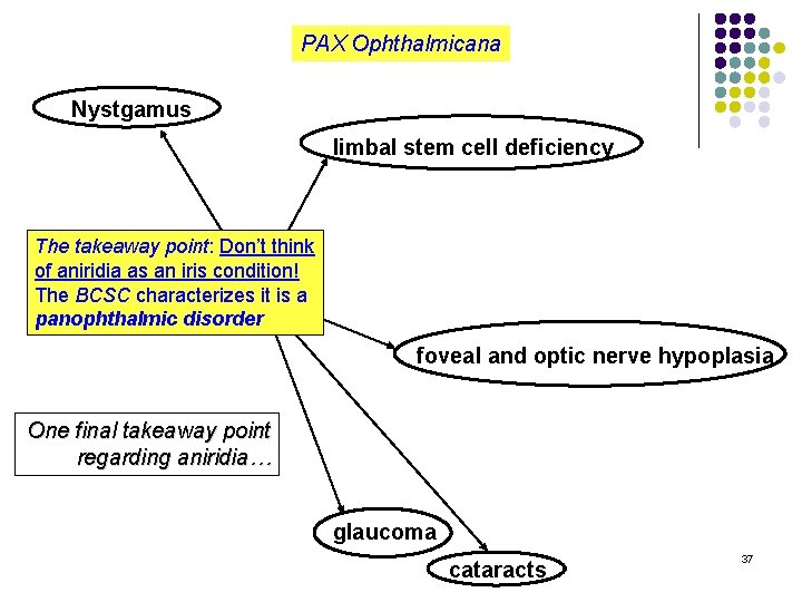 PAX Ophthalmicana l Nystgamus is commonly associated True l Aniridia is associated with limbal