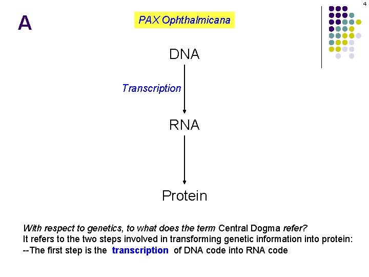 4 A PAX Ophthalmicana DNA Transcription RNA Protein With respect to genetics, to what