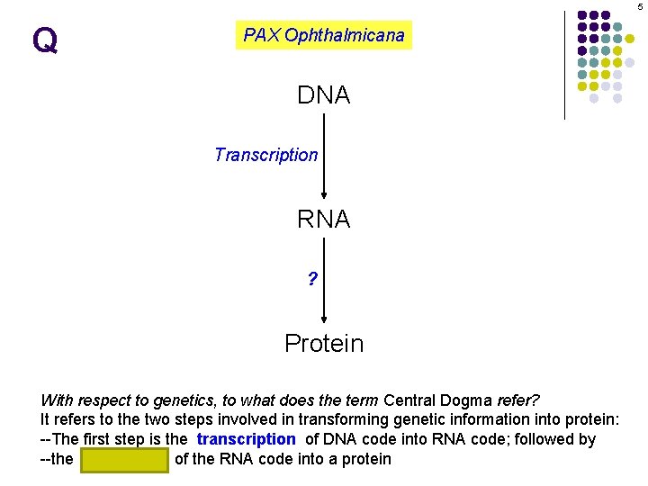 5 Q PAX Ophthalmicana DNA Transcription RNA ? Protein With respect to genetics, to
