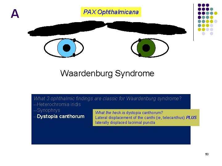 A PAX Ophthalmicana Waardenburg Syndrome What 3 ophthalmic findings are classic for Waardenburg syndrome?