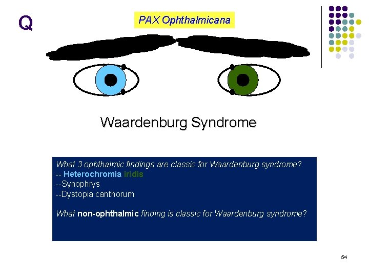 Q PAX Ophthalmicana Waardenburg Syndrome What 3 ophthalmic findings are classic for Waardenburg syndrome?