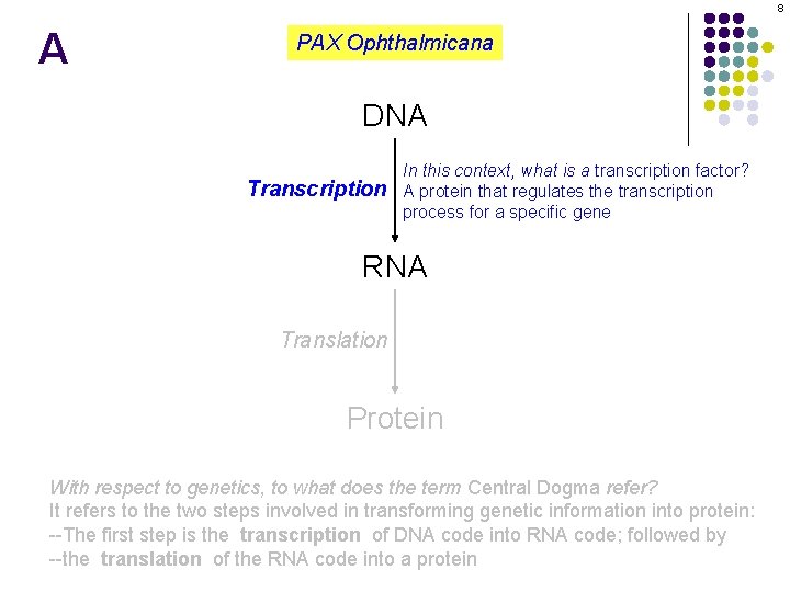 8 A PAX Ophthalmicana DNA Transcription In this context, what is a transcription factor?