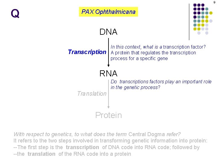 9 Q PAX Ophthalmicana DNA Transcription In this context, what is a transcription factor?
