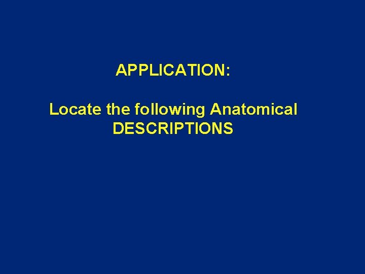 APPLICATION: Locate the following Anatomical DESCRIPTIONS 