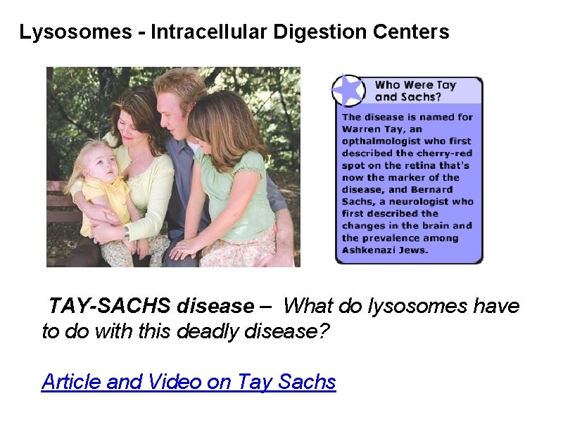 Lysosomes - Intracellular Digestion Centers TAY-SACHS disease – What do lysosomes have to do
