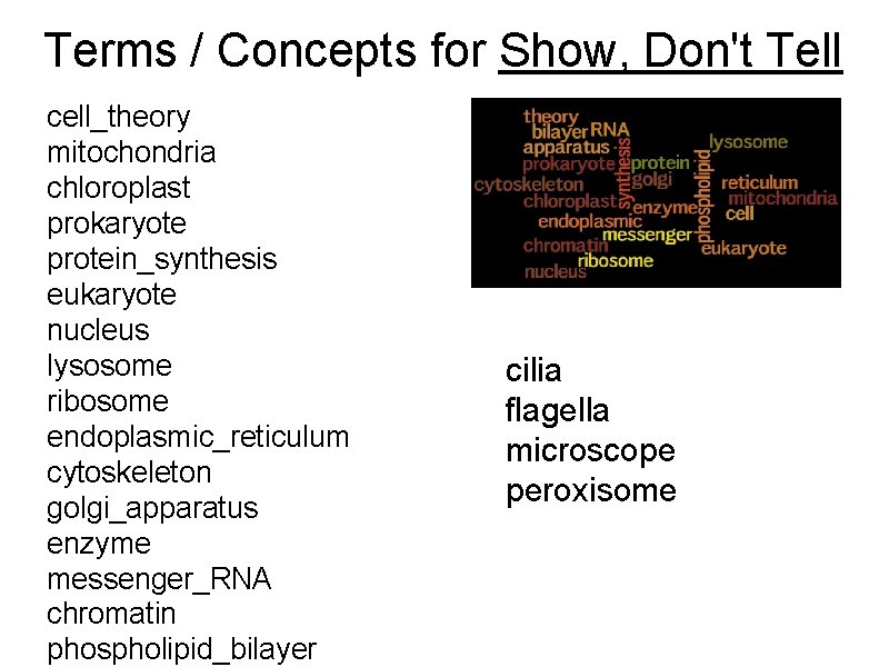  Terms / Concepts for Show, Don't Tell cell_theory mitochondria chloroplast prokaryote protein_synthesis eukaryote