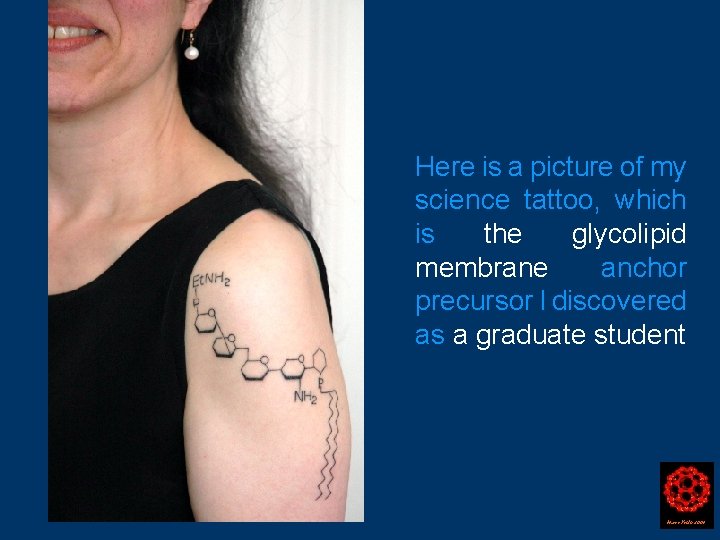 Here is a picture of my science tattoo, which is the glycolipid membrane anchor