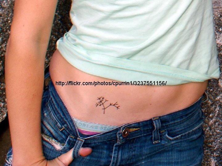http: //flickr. com/photos/cpurrin 1/3237551156/ Harry Kroto 2004 